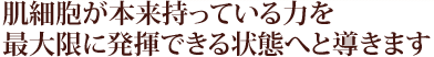 肌細胞が本来持っている力を最大限に発揮できる状態へと導きます